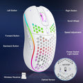 Aura WirelessPro Souris Sans Fil RGB Honeycomb